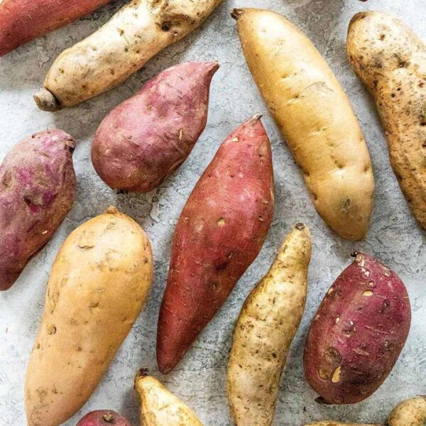 Sweet potatoes per basin